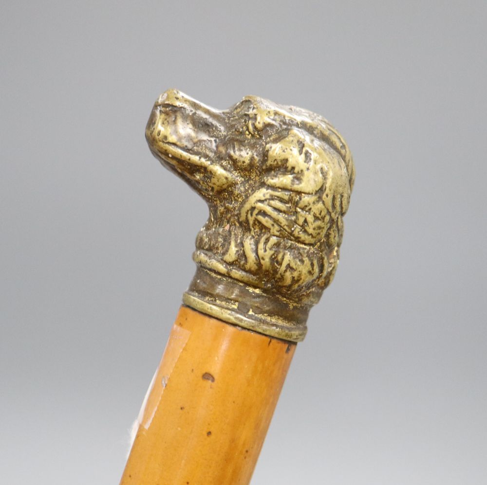 A walking cane with brass dogs head handle, c.1860, length 84cm